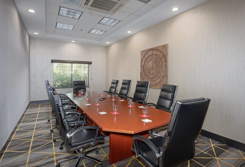 هتل Holiday Inn & Suites Durango Downtown, An Ihg