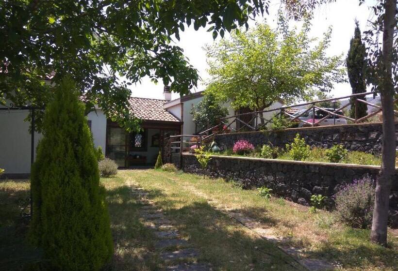 Alberto S Mt.etna B&b
