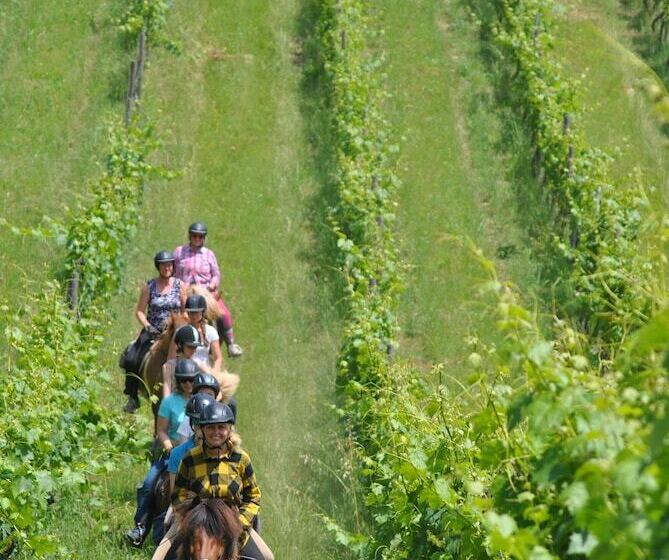 Fattoria Voltrona