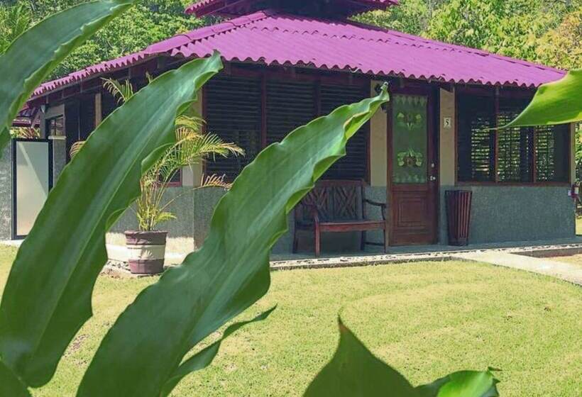 فندق Casa Corcovado Jungle Lodge