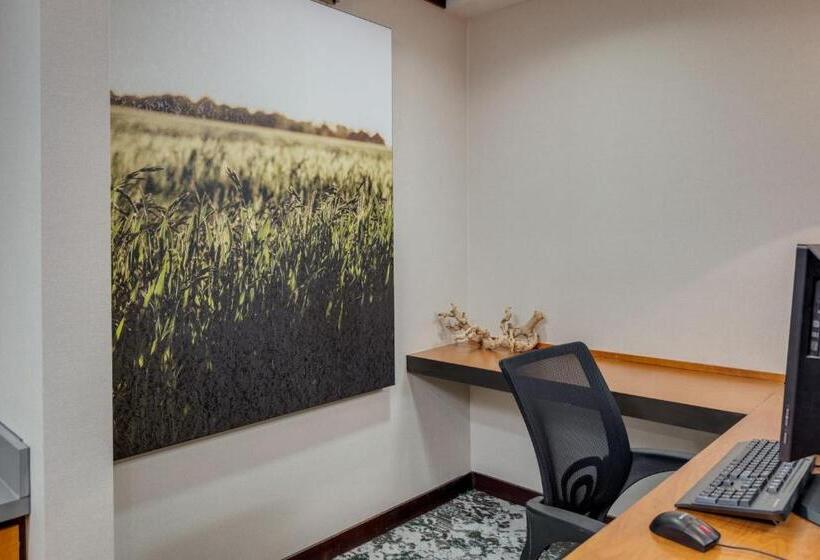 هتل Fairfield Inn & Suites By Marriott Lawton