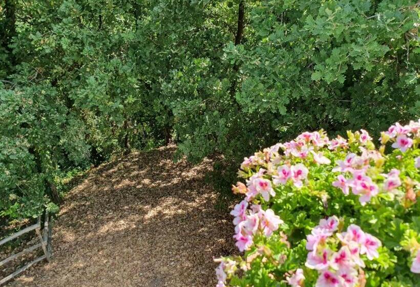 منتجع Borgo San Francesco