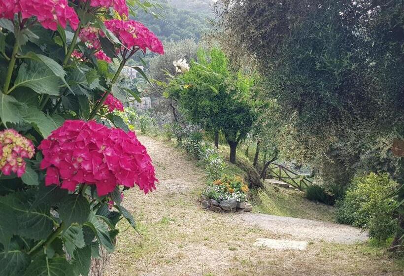 منتجع Borgo San Francesco