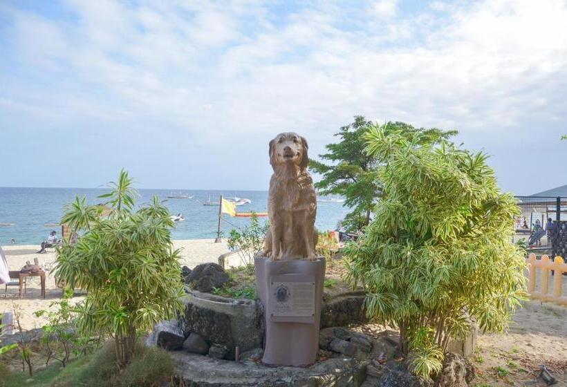 酒店 Acuaverde Beach Resort