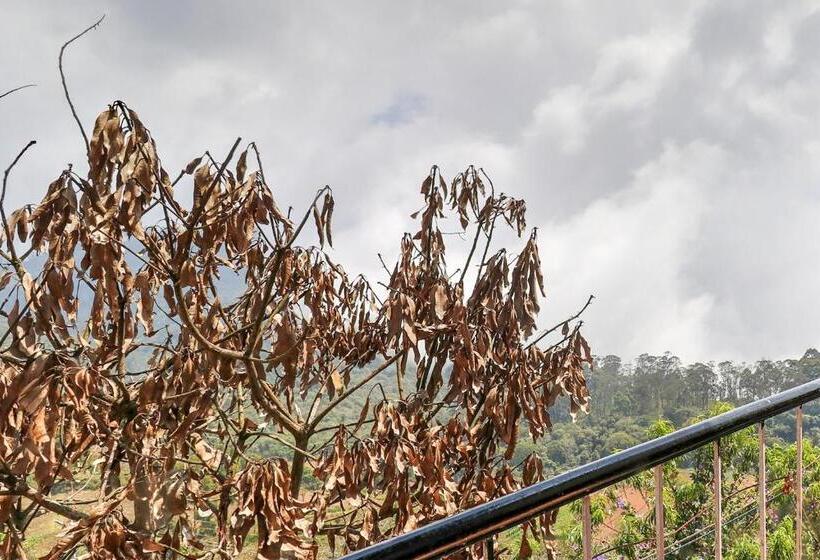 Fabhotel Green Castle Resort