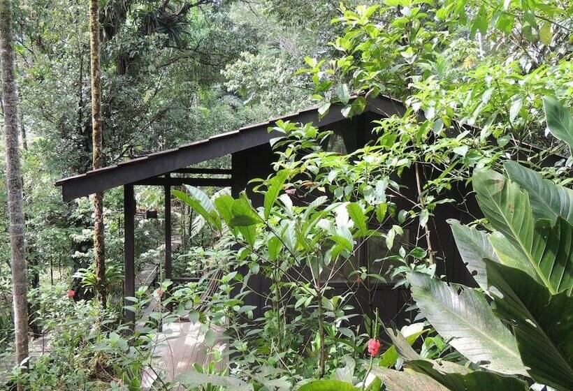 فندق Yatama Ecolodge Sarapiqui