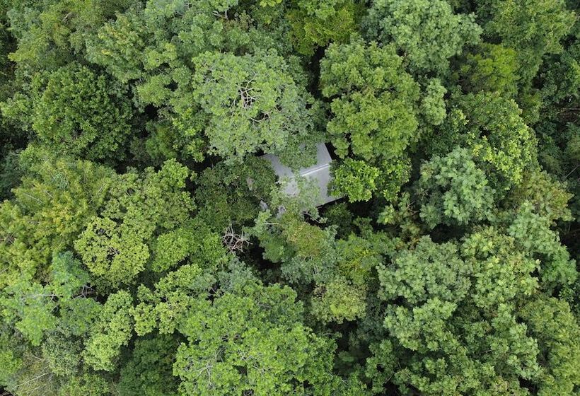 فندق Yatama Ecolodge Sarapiqui