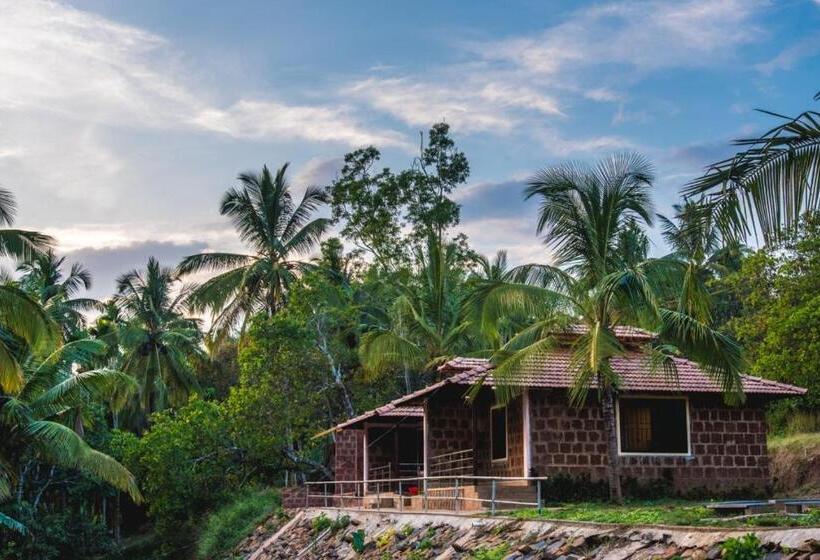 酒店 Dandeli Jungle Resort