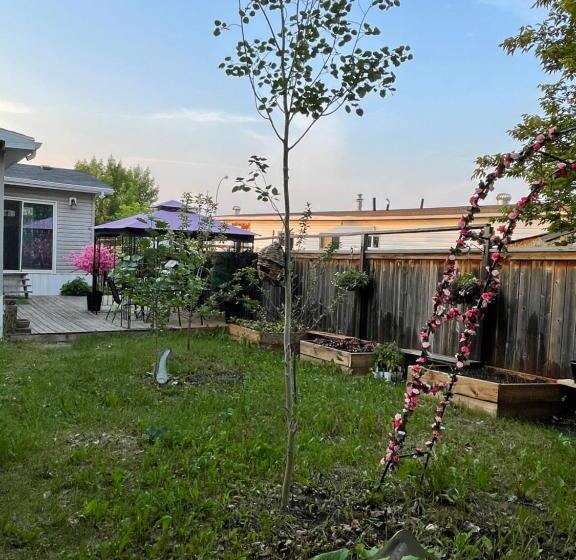 فندق صغير Lemon Tree Inn
