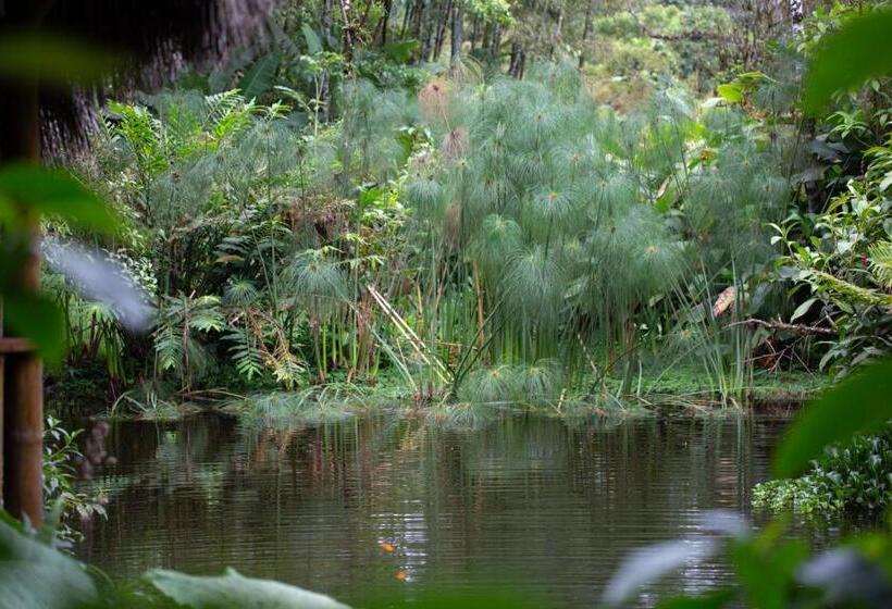 هتل El Abrazo Del Arbol