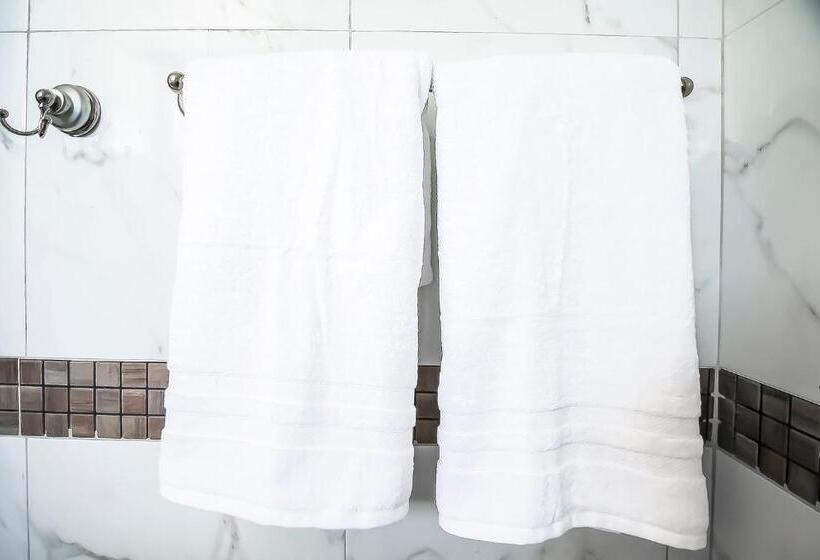 هتل Oyo  Plaza Las Torres