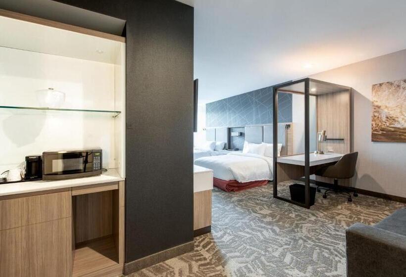 ホテル Springhill Suites By Marriott Chester