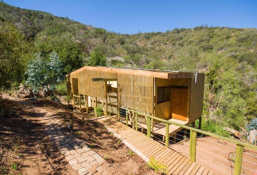 צימר Cabaña Con Tinaja En Viña Narbona Wines