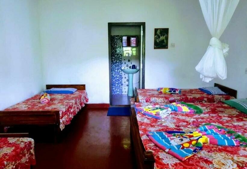 בית מלון כפרי Koslanda Rest & Homestay