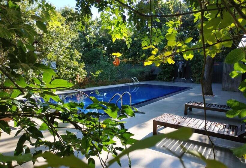 בית מלון כפרי Sigiriya Cashew Palace Resort