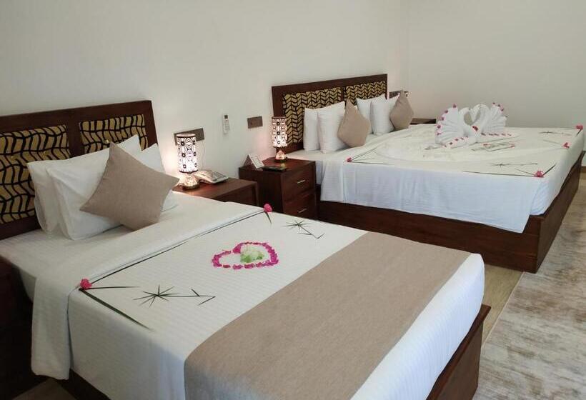 בית מלון כפרי Sigiriya Cashew Palace Resort