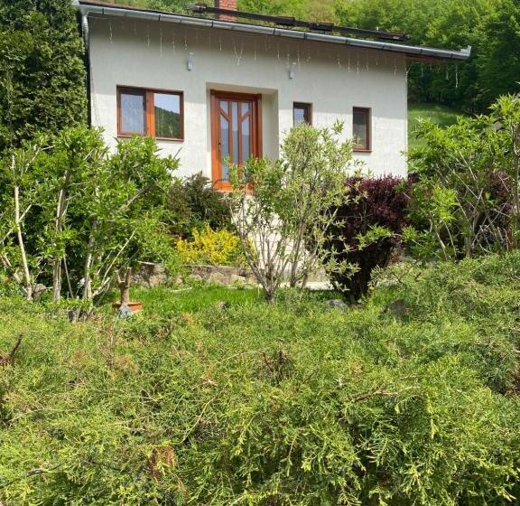 פנסיון Casa Dintre Brazi Hunedoara