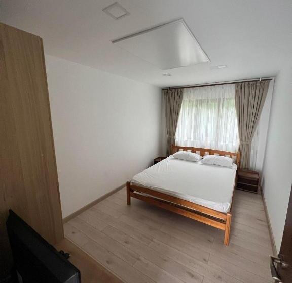 פנסיון Casa Dintre Brazi Hunedoara