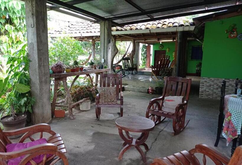 هاستل Loren S House