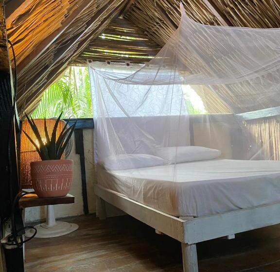 تختخواب و صبحانه Bonita Hostel