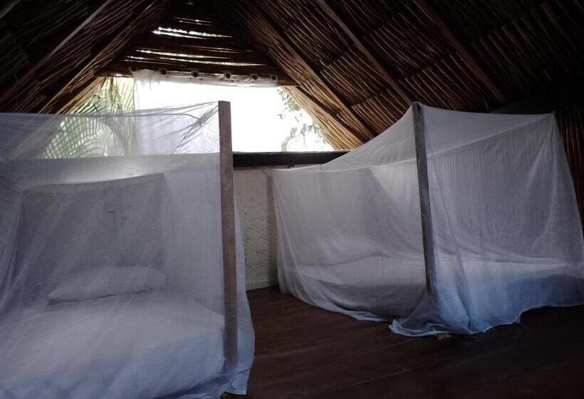 تختخواب و صبحانه Bonita Hostel