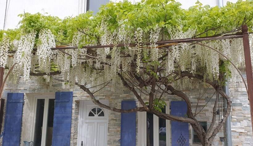 住宿加早餐  Le Mas Cothy En Provence