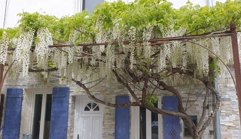 住宿加早餐  Le Mas Cothy En Provence