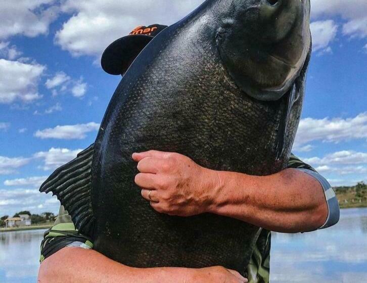ホテル Fazenda Pacu