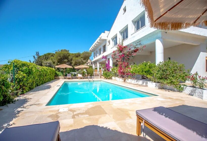 فندق Villa Paradis