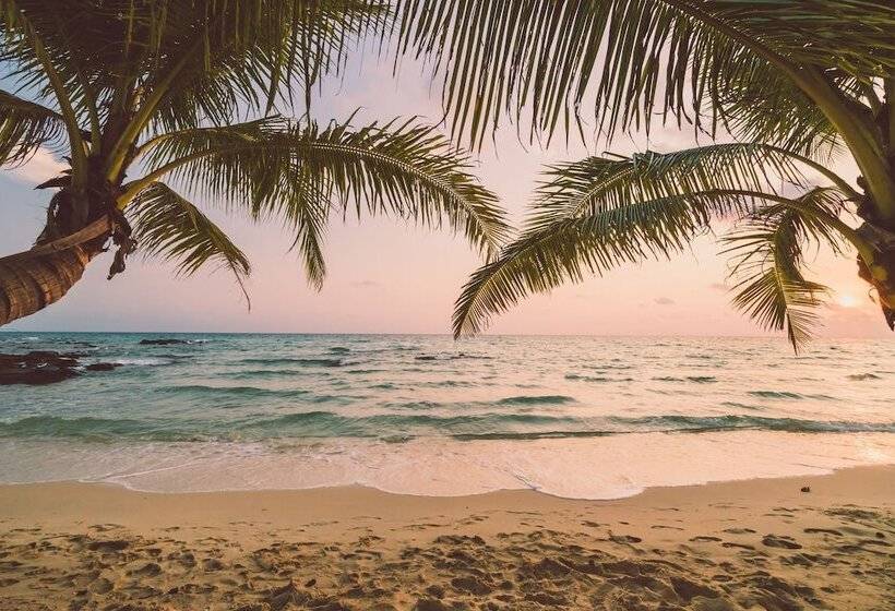 פנסיון B&b Beach House Pousada Exclusiva Pés Na água Pontal Do Peba única Em Alagoas