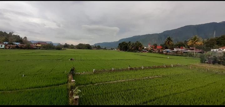 پانسیون Toba Boi