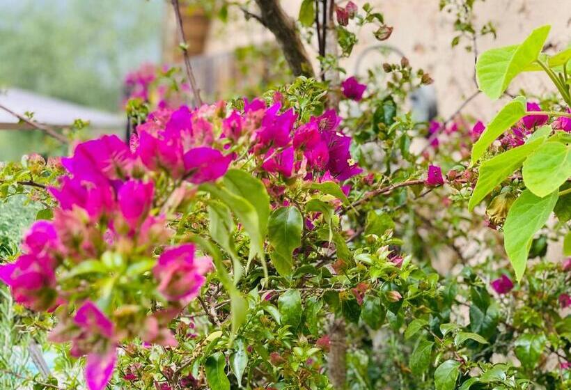 مبيت وإفطار Abeille