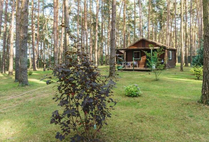 Курорт Urlaub Im Bungalow Mitten Im Wald