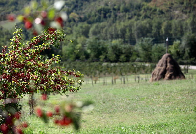 مبيت وإفطار Locanda Dei Cinque Cerri