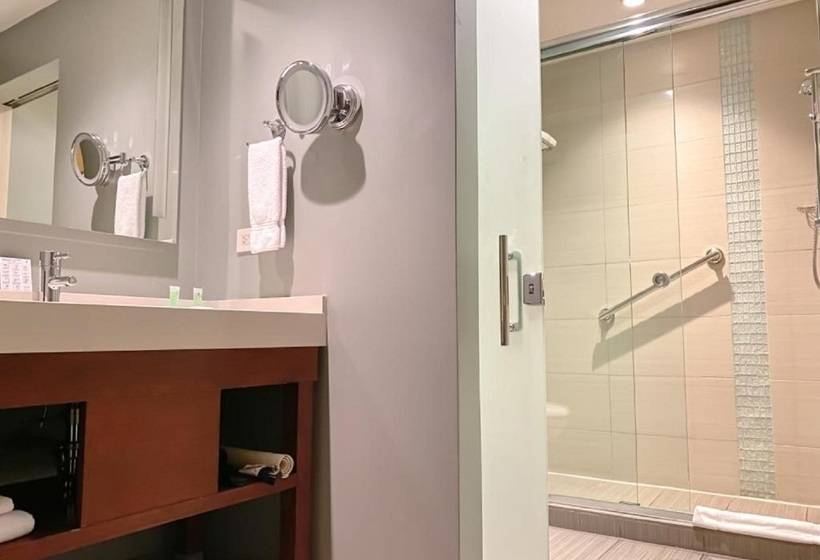 Отель Hyatt Place San Jose Pinares