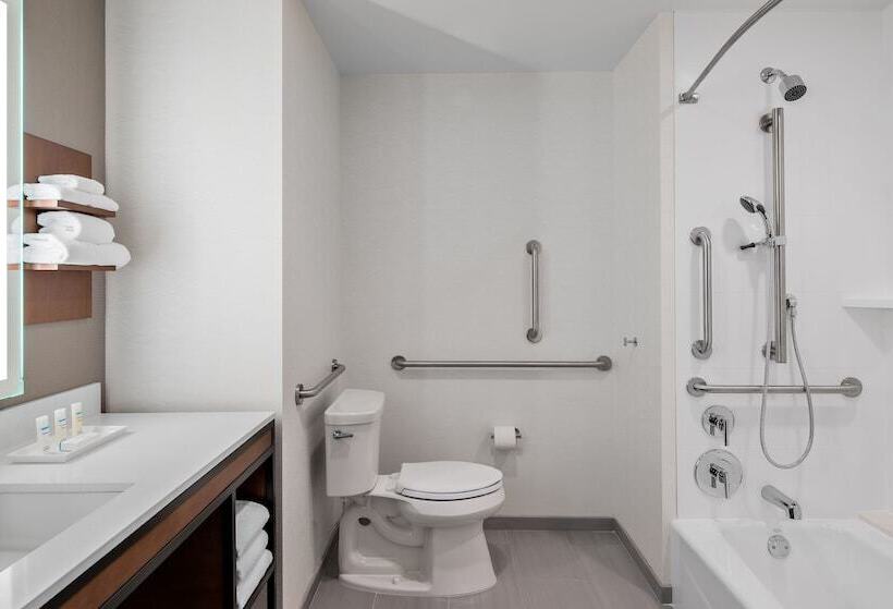 בית מלון כפרי Hilton Garden Inn Chicago Mccormick Place