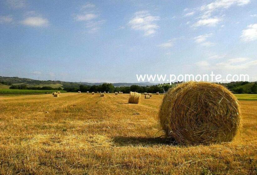 فندق Il Girasole Terzuolo