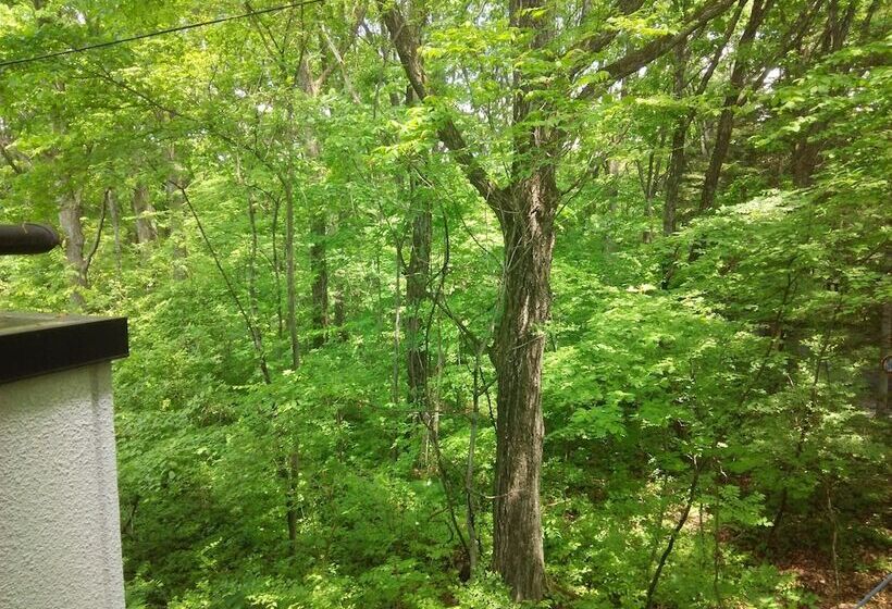 酒店 Seven Resorts Kitakaruizawa