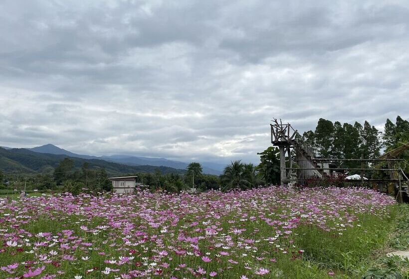 پانسیون Hinpha Homestay
