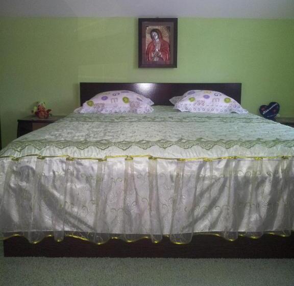 Pensiunea Floare De Bucovina