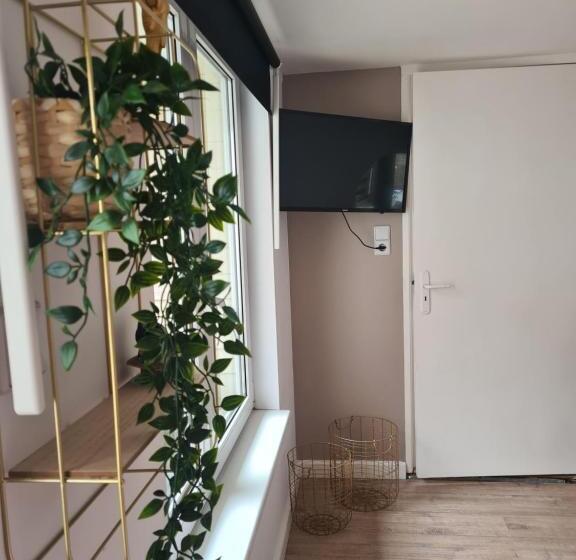 پانسیون Evy S Garden House