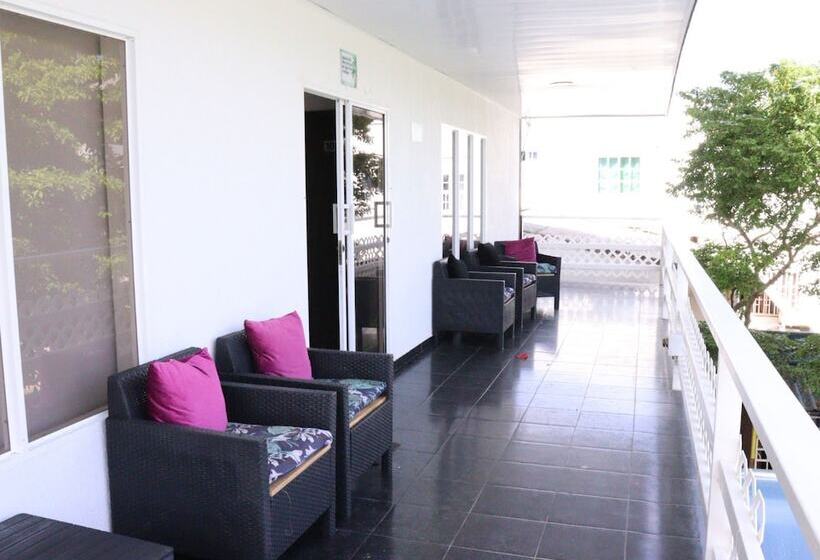 پانسیون Galyrod House