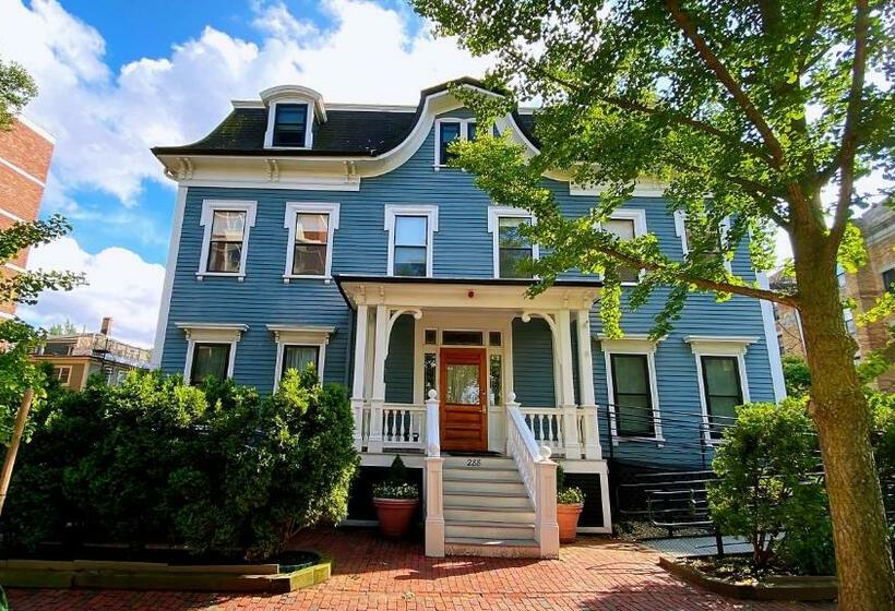 هاستل Ginkgo House On Harvard