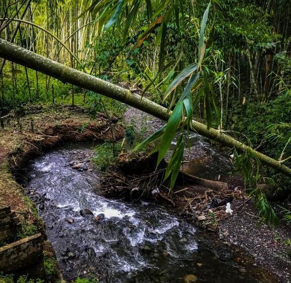 پانسیون Room In Lodge   Family Cabin With Lake View