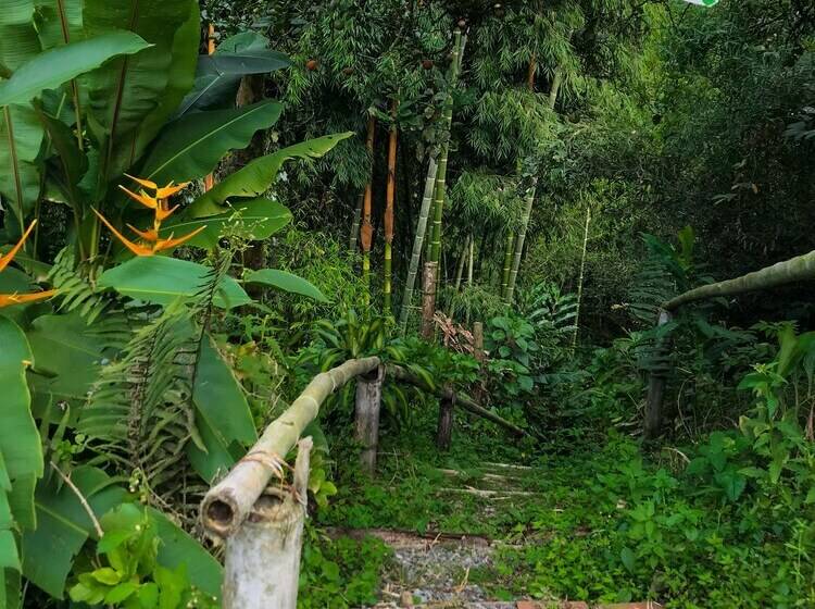 ペンション Room In Lodge   Tree House Finca La Floresta Verde