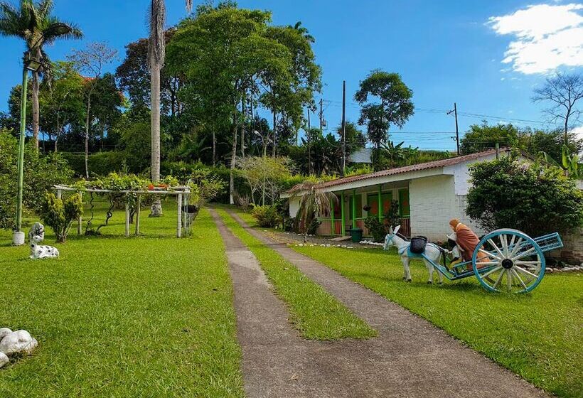 ペンション Room In Lodge   Tree House Finca La Floresta Verde
