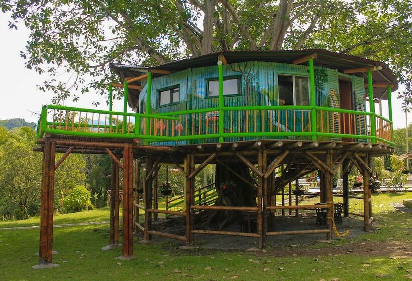 ペンション Room In Lodge   Tree House Finca La Floresta Verde