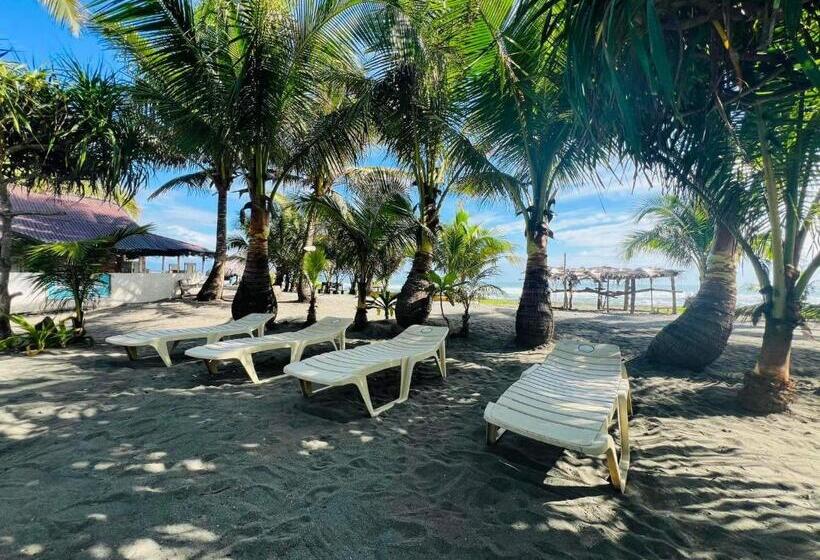 فندق North Shore Beach Resort