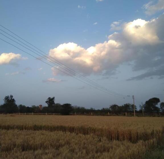 ホテル Tranquility Homestay