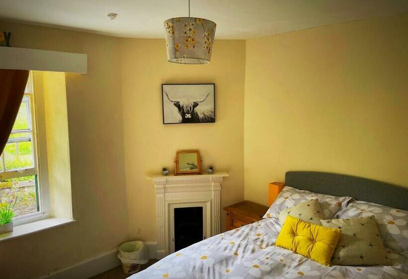 ベッドアンドブレックファースト The Dartmoor Bnb